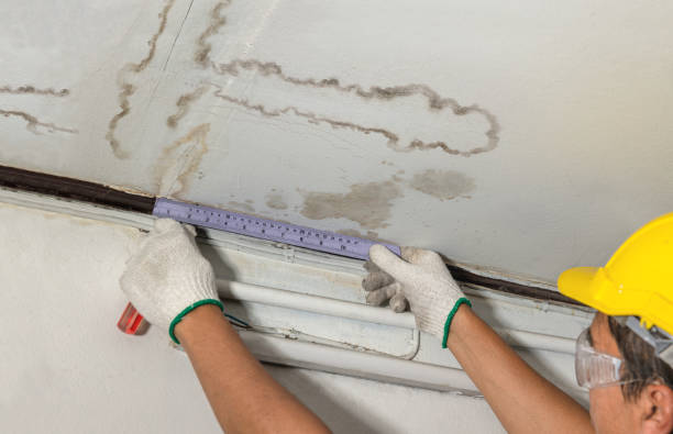 Reliable Water Damage Repair contractor in Nederland, CO by Aqua Guard Water Damage